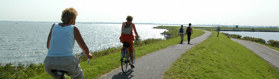 Cycling in the Netherlands